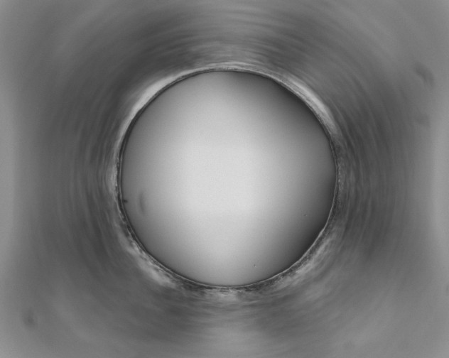 X0000111200956200907291227