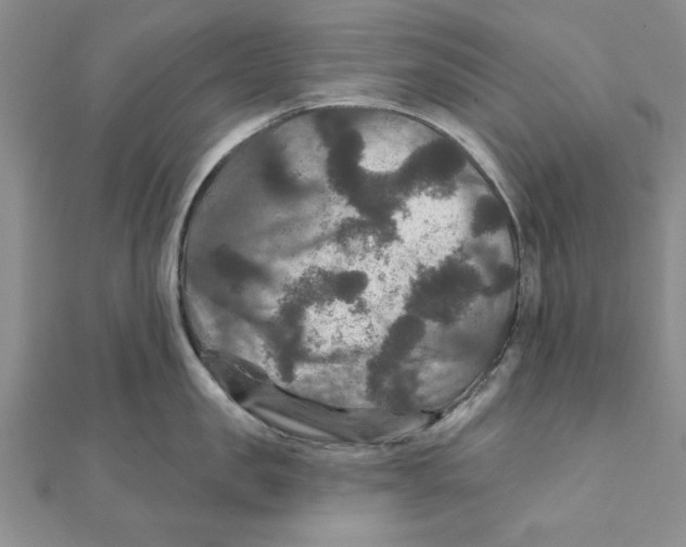 X0000111200957200907291227