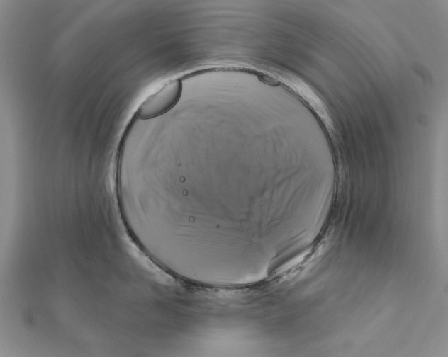 X0000111200958200907291227