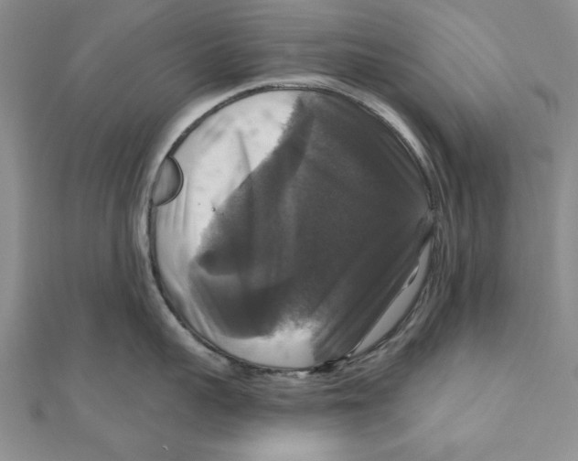 X0000111200959200907291227