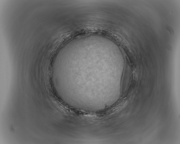 X0000111200961200907291227