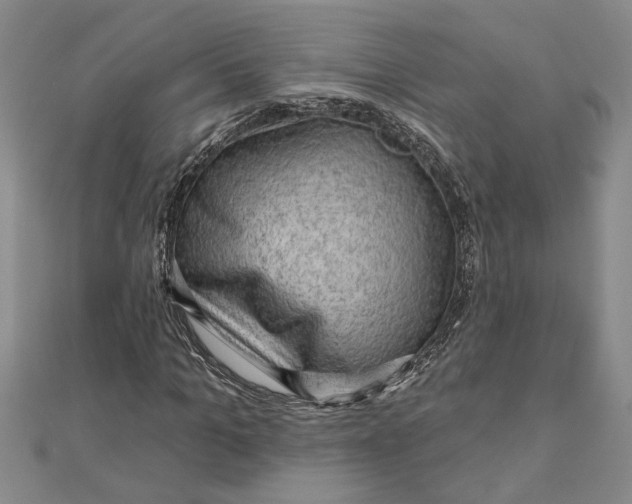 X0000111200965200907291227