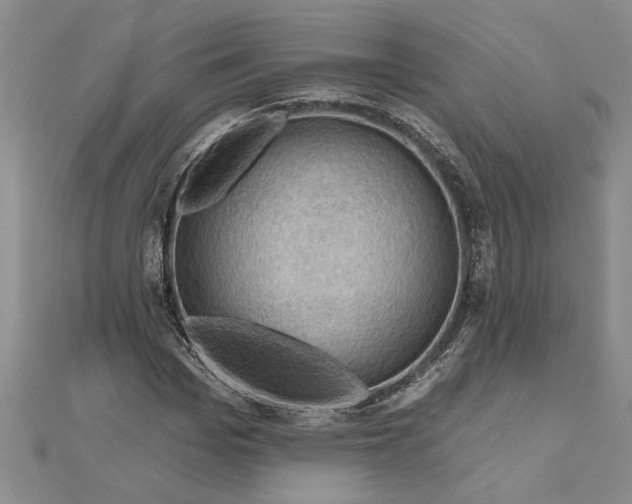 X0000111200969200907291226