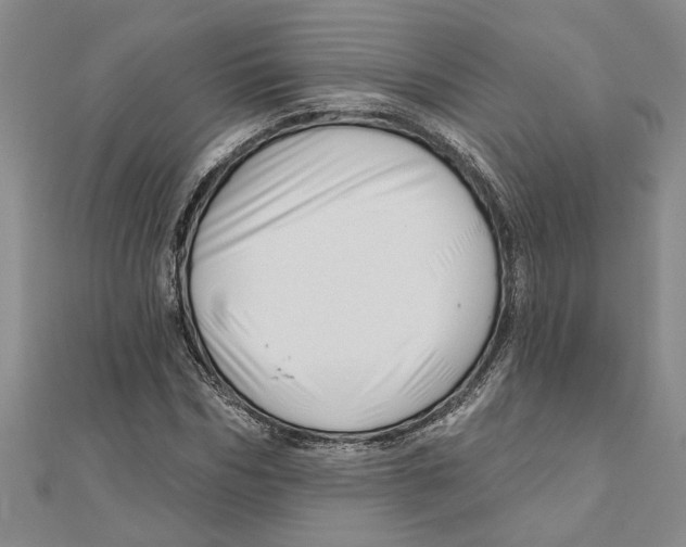 X0000111200970200907291226