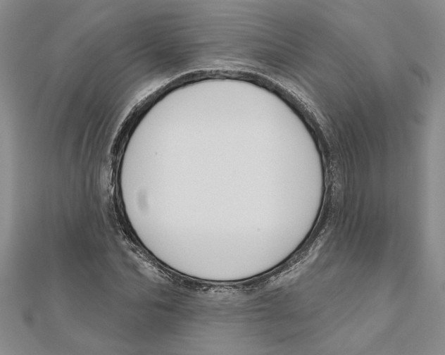 X0000111200974200907291226