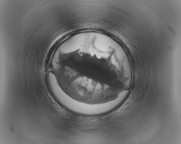 X0000111200975200907291226