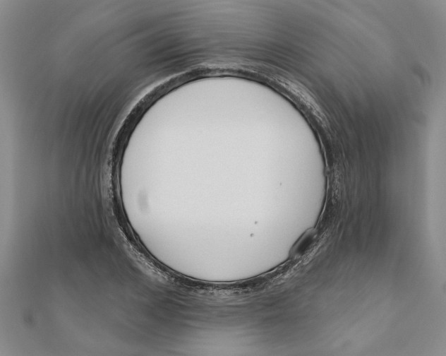 X0000111200976200907291226