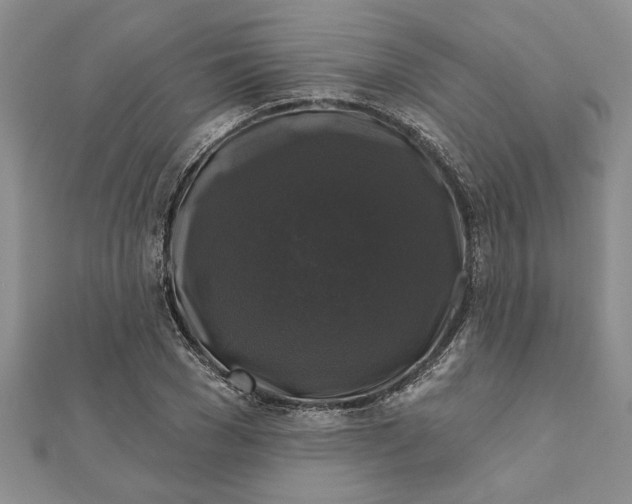 X0000111200977200907291226