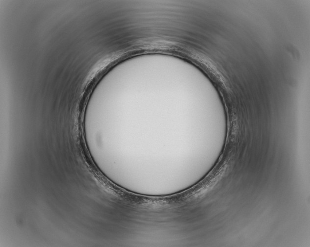 X0000111200978200907291226