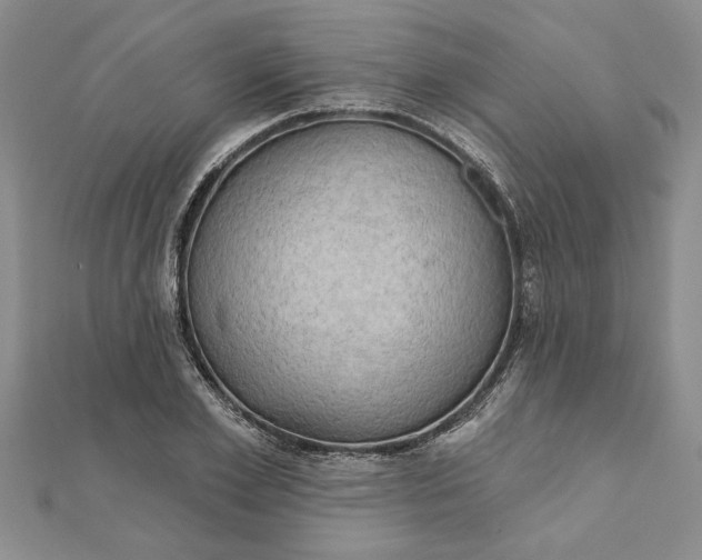 X0000111200981200907291226