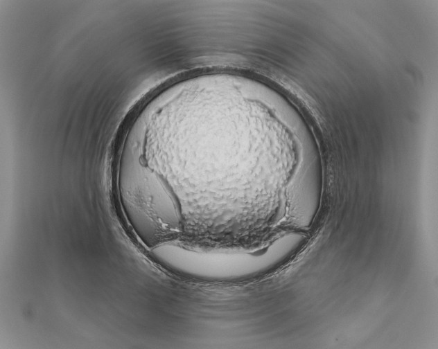 X0000111200983200907291226