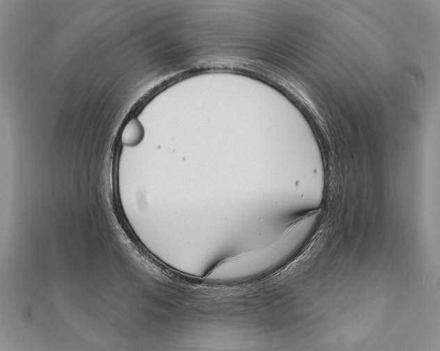 X0000111200984200907291226