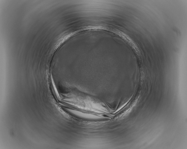 X0000111200985200907291226