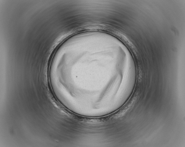 X0000111200986200907291226