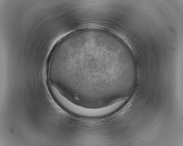 X0000111200987200907291226