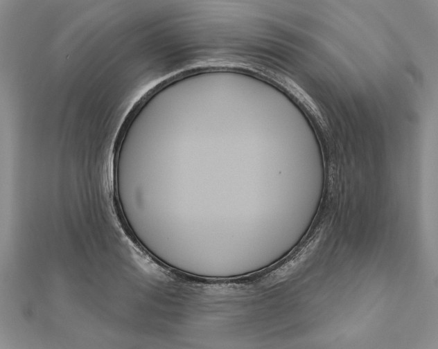 X0000111200988200907291226