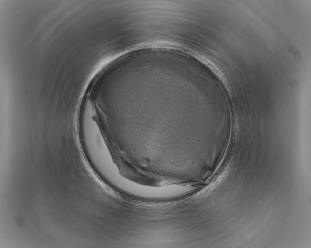 X0000111200989200907291226