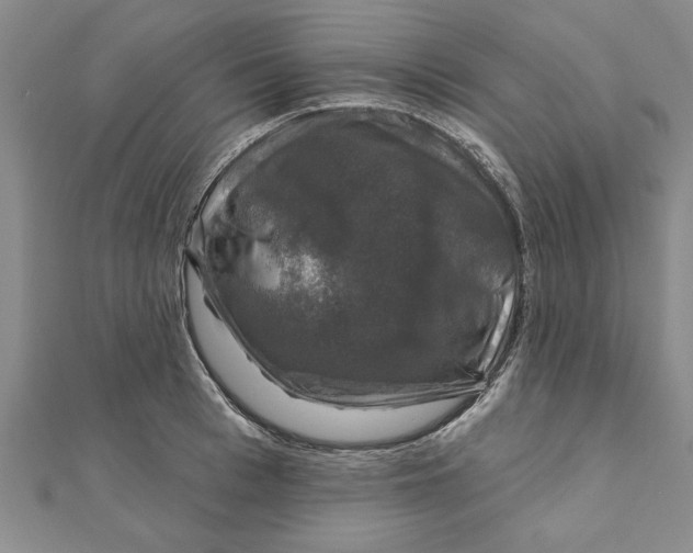 X0000111200993200907291226