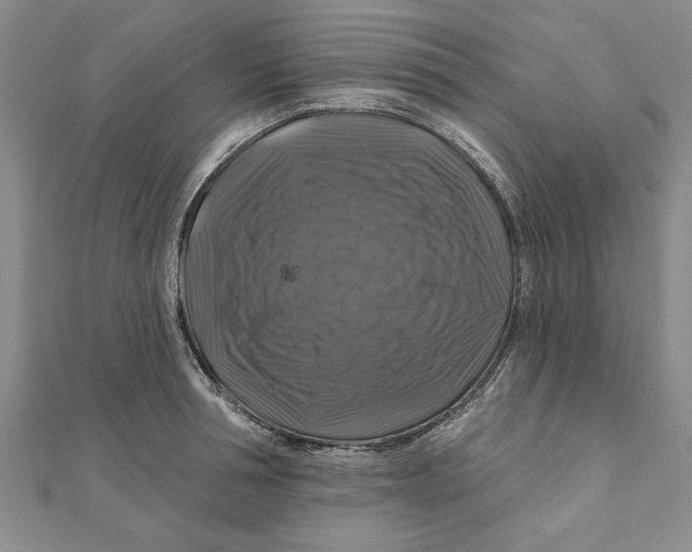 X0000111200994200907291226