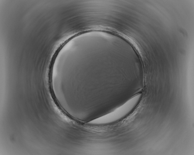 X0000111200995200907291226