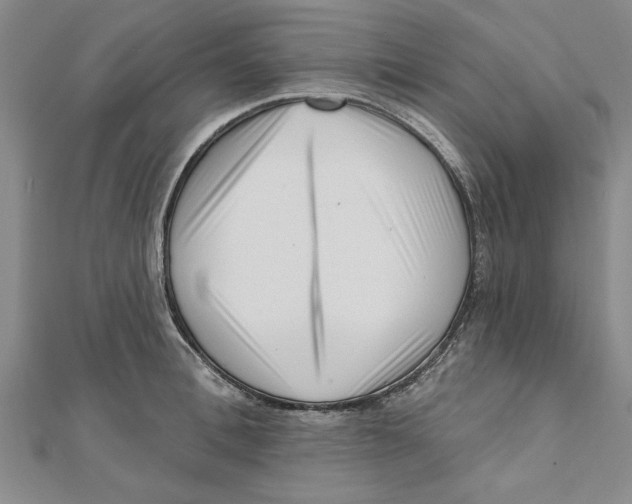 X0000111200996200907291226