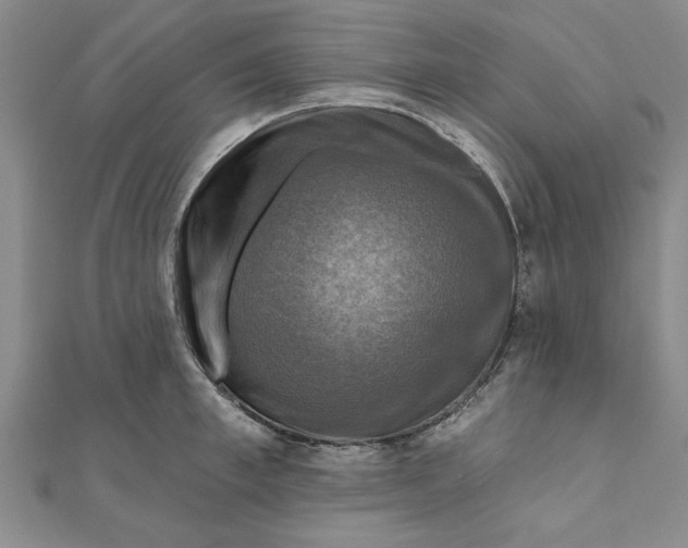 X0000111200997200907291226