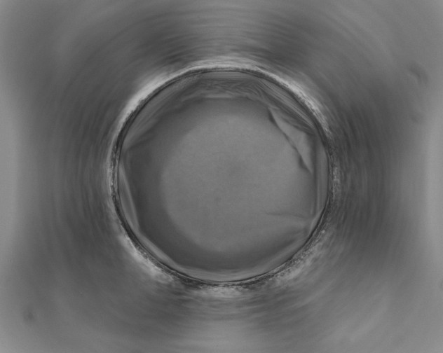 X0000111200998200907291226