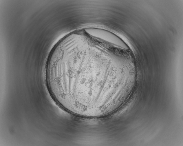 X0000111200999200907291226