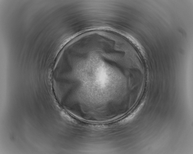 X0000111201001200907291226