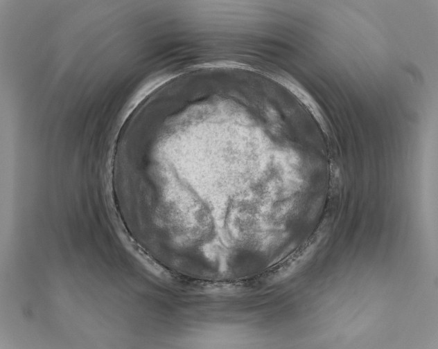 X0000111201002200907291226