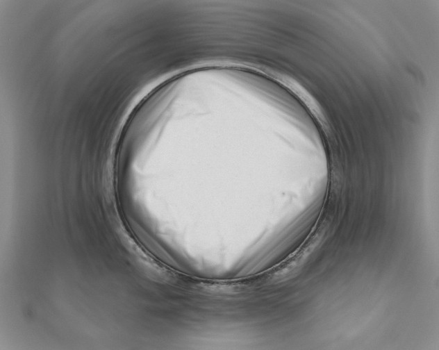 X0000111201004200907291226