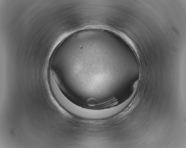 X0000111201005200907291226