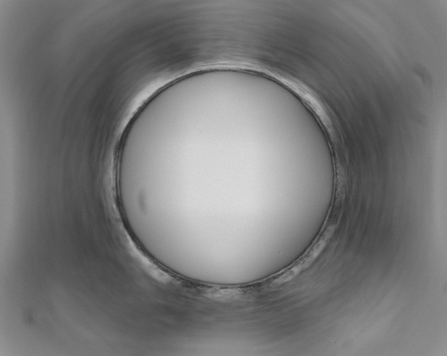 X0000111201006200907291226