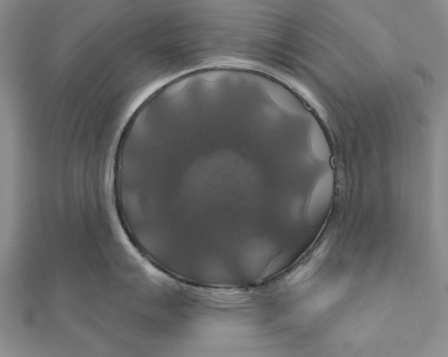 X0000111201007200907291226