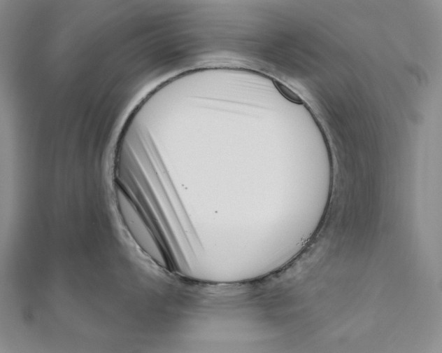 X0000111201008200907291226