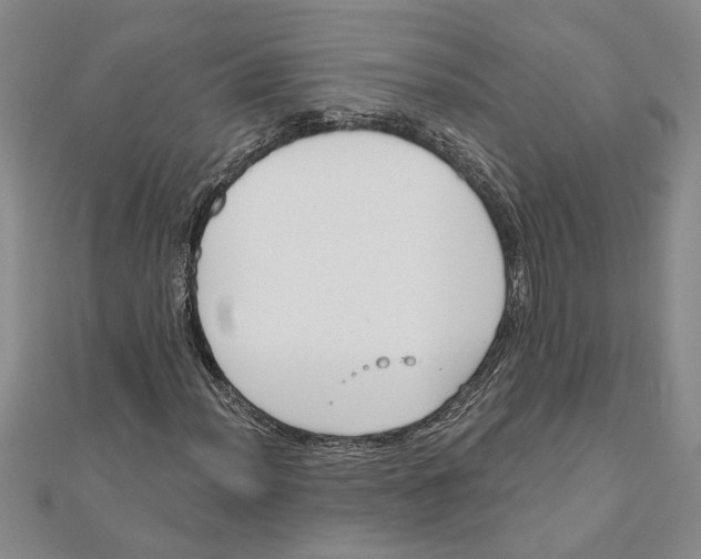 X0000111201012200907291225