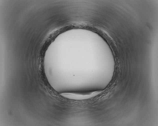 X0000111201016200907291225