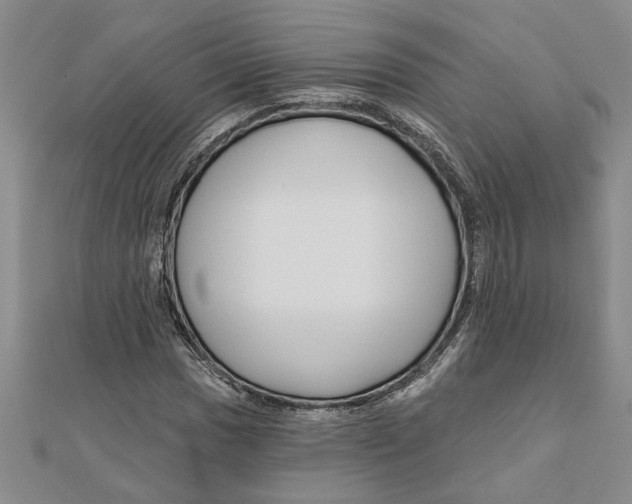 X0000111201017200907291225