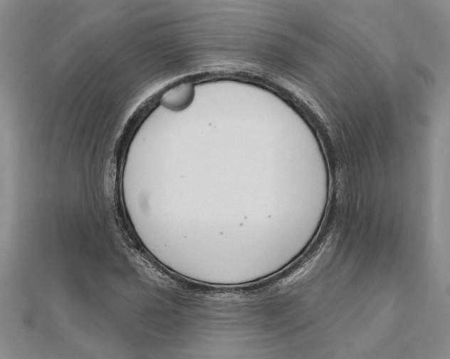 X0000111201021200907291226