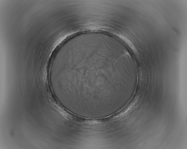 X0000111201023200907291226