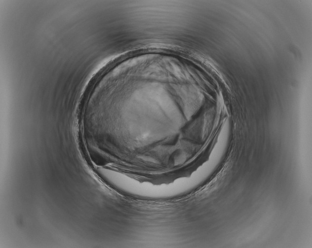 X0000111201024200907291226