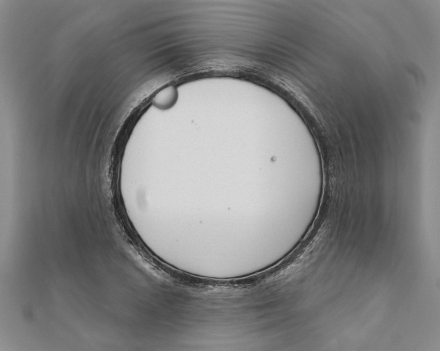 X0000111201026200907291226