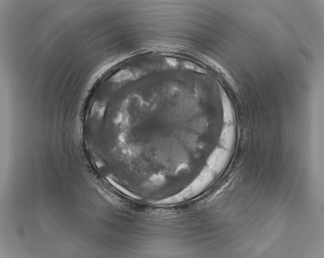 X0000111201027200907291226