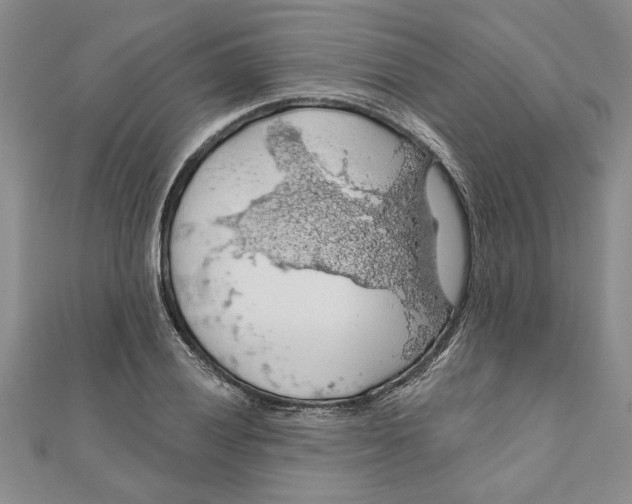 X0000111201028200907291226