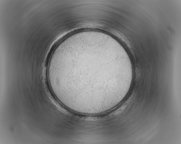 X0000111201029200907291226