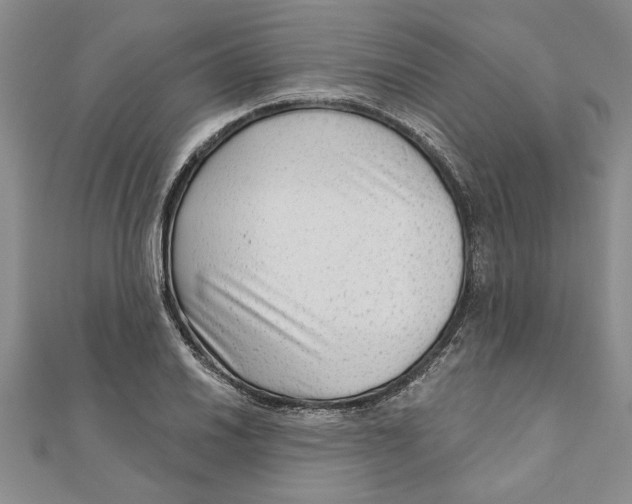 X0000111201030200907291226