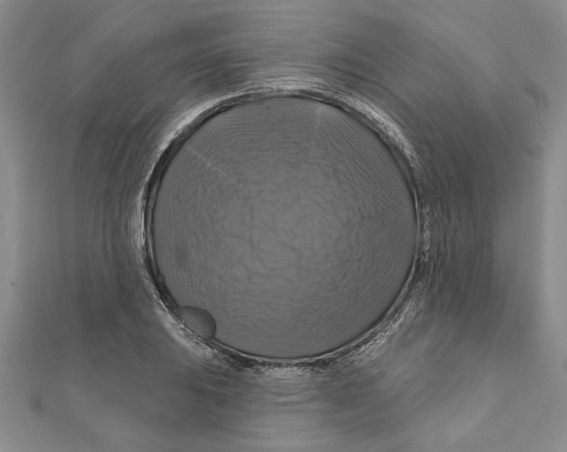 X0000111201031200907291226