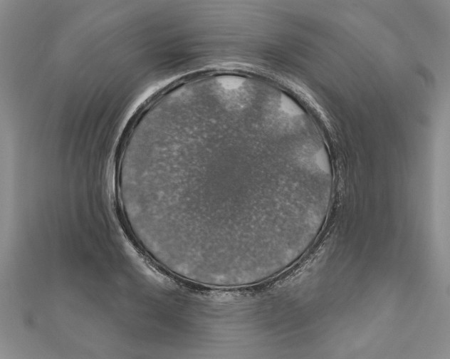 X0000111201032200907291226