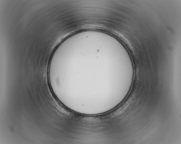 X0000111201033200907291226