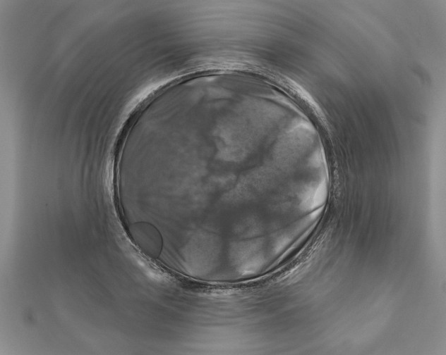 X0000111201035200907291226